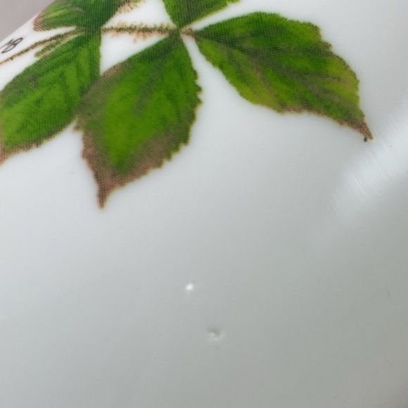 MARJOLEIN BASTIN set of 3 Nature’s Sketchbook Signed Bud Vases Milk Glass 6”Tall - Picture 14 of 14